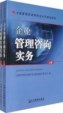 企业管理咨询实务与案例分析